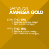 Auto Amnesia Gold Pyramid Seeds x3 semilla autofloreciente feminizada