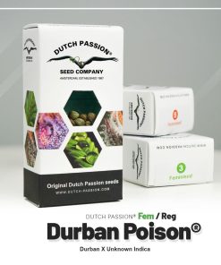 Durban Poison Dutch Passion semillas feminizadas sativa