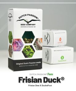 Frisian Duck Dutch Passion semillas feminizadas híbridas