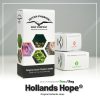 Hollands Hope Dutch Passion semillas feminizadas indica