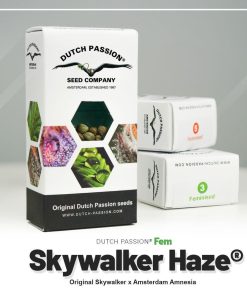 Skywalker Haze Fem Dutch Passion