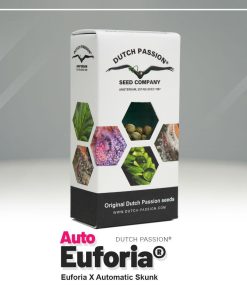 Auto Euforia Dutch Passion semillas autoflorecientes feminizadas