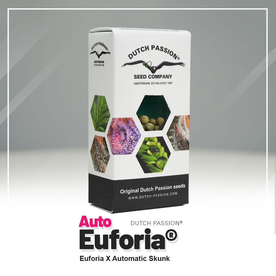 Auto Euforia Dutch Passion semillas autoflorecientes feminizadas