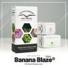 Banana Blaze Dutch Passion semillas feminizadas