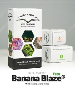 Banana Blaze Dutch Passion semillas feminizadas