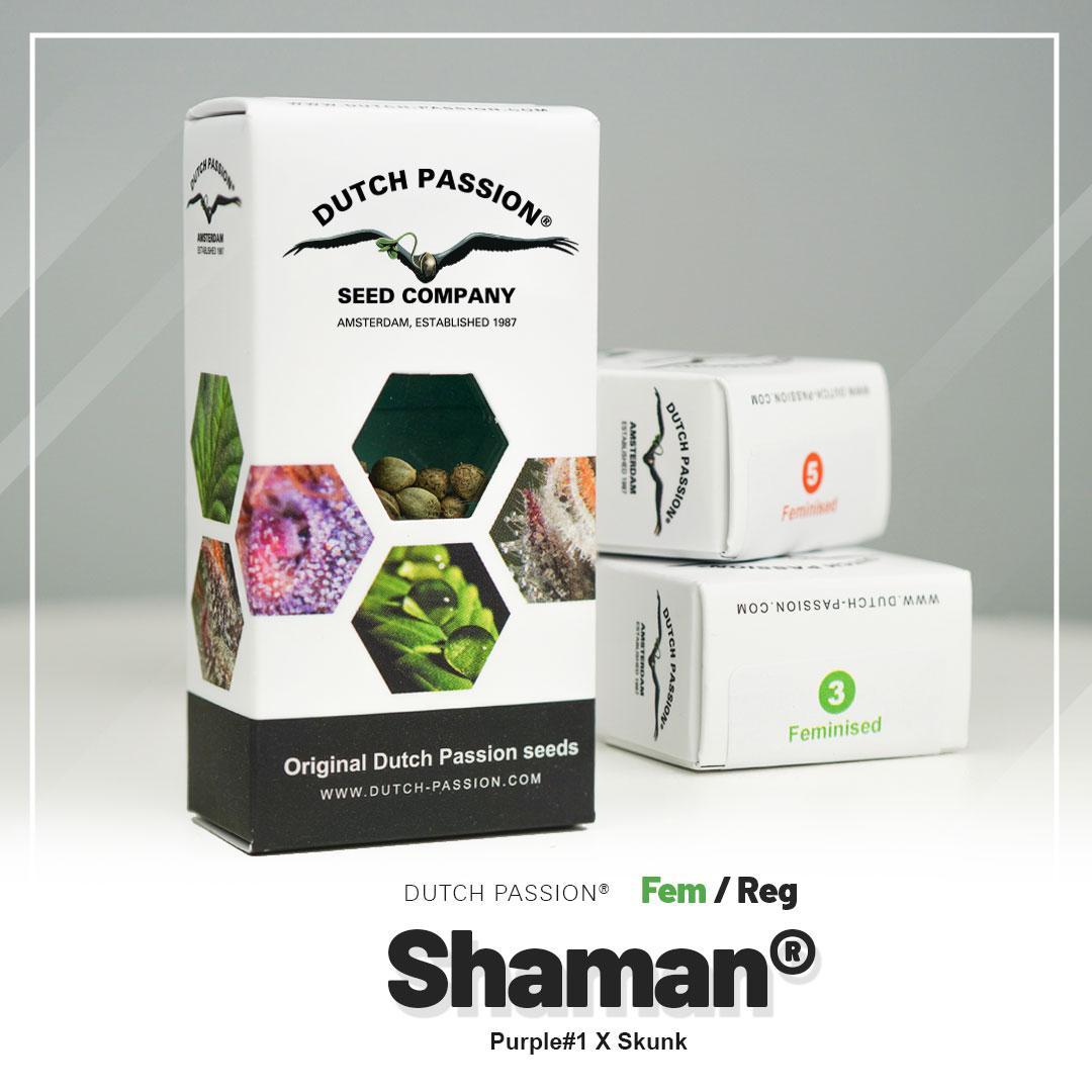 Shaman Dutch Passion semillas feminizadas y regulares