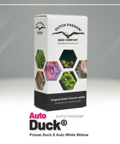 Auto Duck Dutch Passion semillas autoflorecientes feminizadas