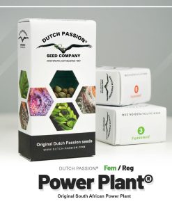 Power Plant Dutch Passion semillas feminizadas sativa