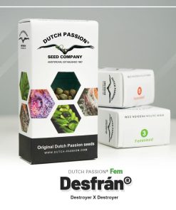 Desfrán Dutch Passion semillas feminizadas sativa