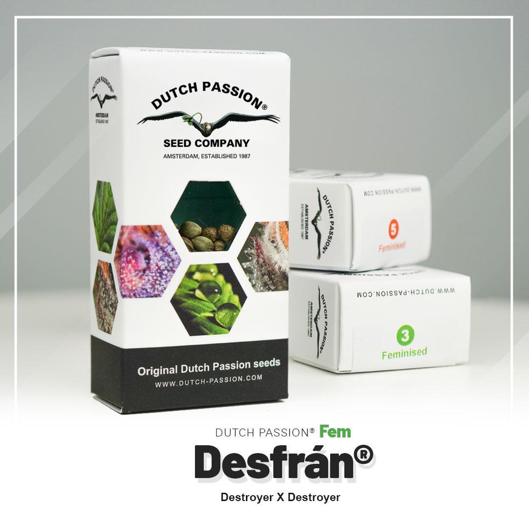 Desfrán Dutch Passion semillas feminizadas sativa