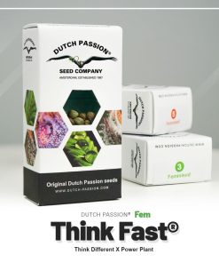 Think Fast Dutch Passion semillas feminizadas