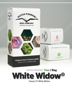 White Widow Dutch Passion semillas feminizadas indica