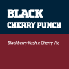 Black Cherry Punch Pyramid Seeds x3 semillas feminizadas