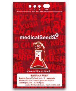 Banana Purp Medical Seeds x3 semillas feminizadas