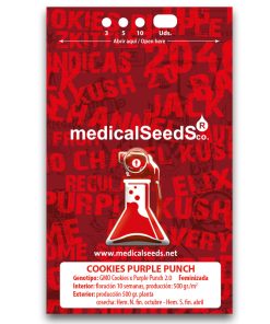 Cookies Purple Punch Medical Seeds x3 semillas feminizadas