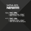 Nefertiti Pyramid Seeds x3 semillas feminizadas
