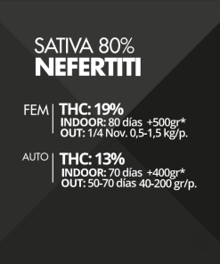 Nefertiti Pyramid Seeds x3 semillas feminizadas