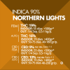 Northern Lights Pyramid Seeds x3 semillas feminizadas
