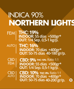 Northern Lights Pyramid Seeds x3 semillas feminizadas