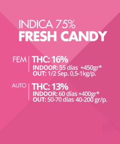 Fresh Candy Pyramid Seeds x1 semilla feminizada fotoperiódica