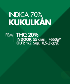 Empaque de semillas feminizadas Kukulkan Pyramid Seeds formato x3