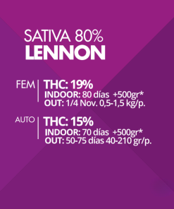 Lennon Pyramid Seeds x3 semillas feminizadas