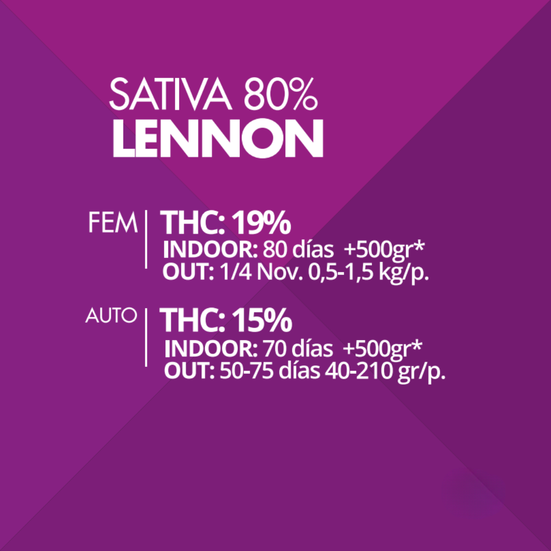 Lennon Pyramid Seeds x3 semillas feminizadas