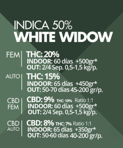 White Widow Pyramid Seeds x3 semillas feminizadas
