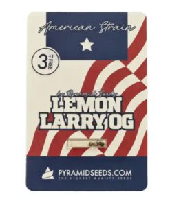 Lemon Larry OG Pyramid Seeds x3 semillas feminizadas