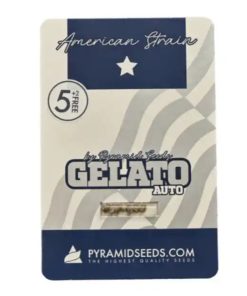 Auto Gelato Pyramid Seeds x3 semillas autoflorecientes feminizadas