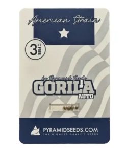 Auto Gorila Pyramid Seeds x3 semillas autoflorecientes feminizadas